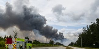 Incendio forestal West Miami-miaminews24