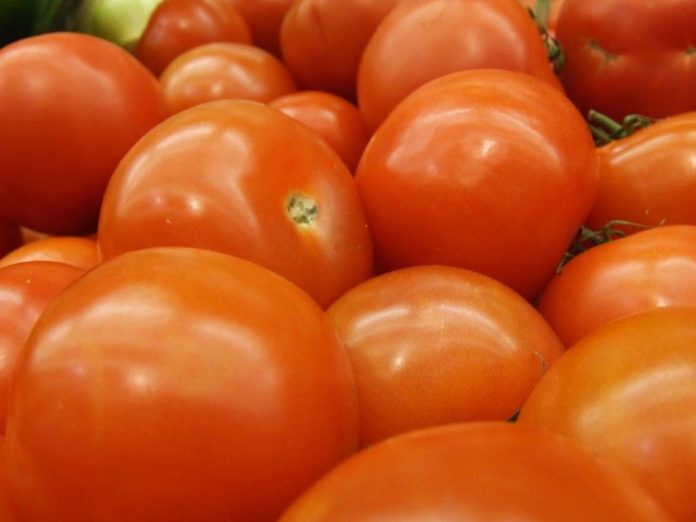 Beneficios del tomate-Miami news 24