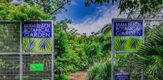Jardín Botánico de Miami Beach inaugurará dos exposiciones este jueves