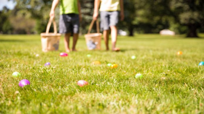 Búsquedas de huevos de Pascua se llevan a cabo en Florida