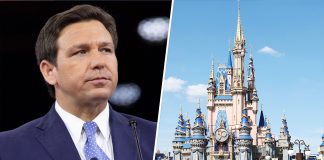Conflicto entre Disney y Florida-miaminews24