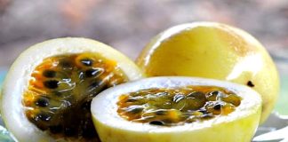 La parchita es una fruta originaria de Centroamérica, que posee diferentes beneficios para la salud. Se produce principalmente en Brasil, seguido de Venezuela, Colombia y el resto de los países del trópico-Miami news 24