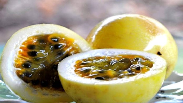 La parchita es una fruta originaria de Centroamérica, que posee diferentes beneficios para la salud. Se produce principalmente en Brasil, seguido de Venezuela, Colombia y el resto de los países del trópico-Miami news 24