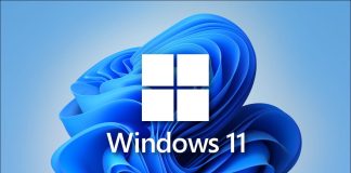 MEJORAS DE WINDOWS 11 EN VIDEOLLAMADAS - miaminews24