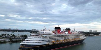 Disney Cruise Line zarpará-miaminews24