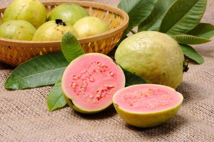 Beneficios de la guayaba