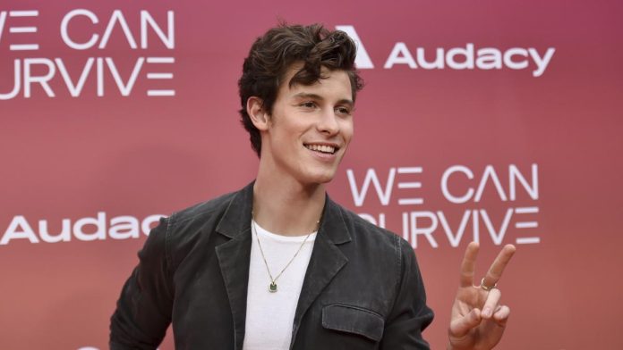 Shawn Mendes salud mental-Miami news 24