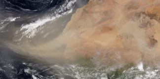 Polvo del Sahara llegará a Florida- Miami news 24