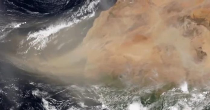 Polvo del Sahara llegará a Florida- Miami news 24