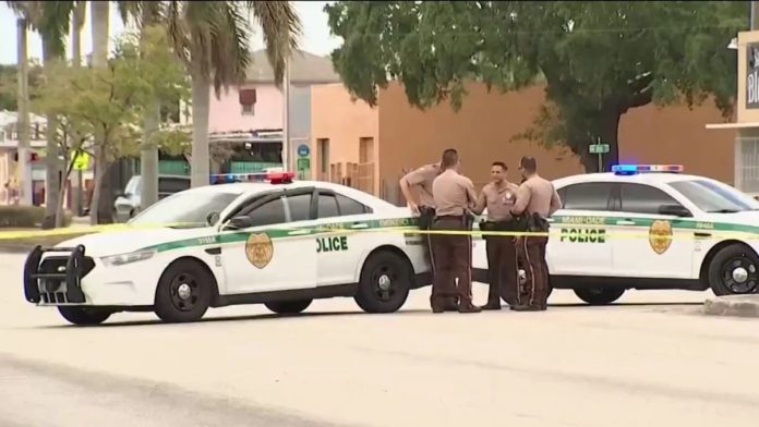 Conductor atropelló a peatón en Biscayne Boulevard