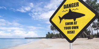 Advierten peligro playas infestadas-miaminews24