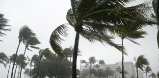 Tormentas Miami-Dade y Broward