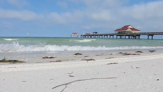 Hallan el cuerpo de una venezolana desaparecida en una playa de Florida