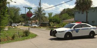 Tiroteo en Little Haití - Miami news 24