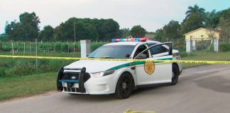 Mujer es golpeada y robada en el patio de su casa en Miami - miaminews24