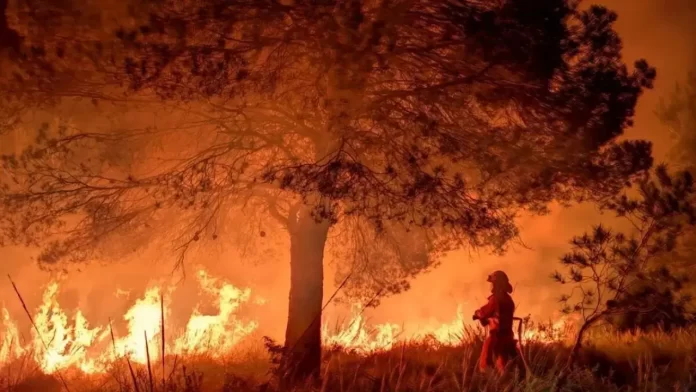 Incendio Sur España personas - miaminews24