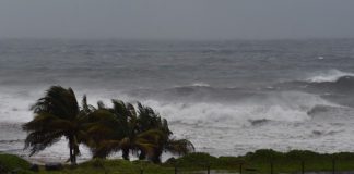 Emiten estado de alerta de tormenta tropical en sur de Florida-miaminews24