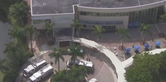 Mujer murió accidente tránsito - Miami news 24
