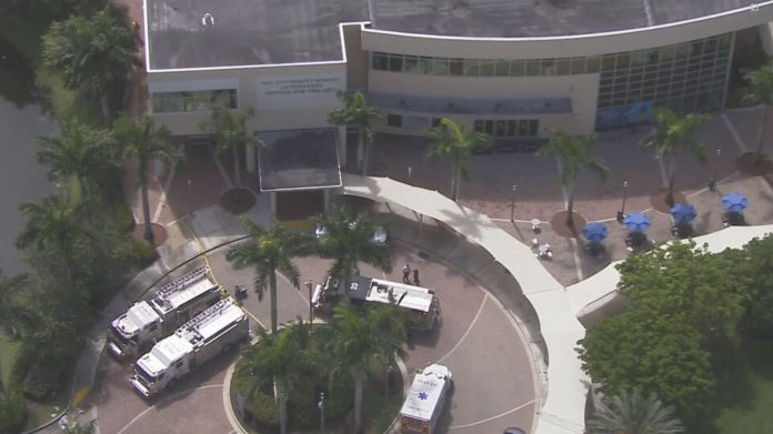 Mujer murió accidente tránsito - Miami news 24