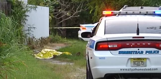 miami dade mujer arrestada - miaminews24