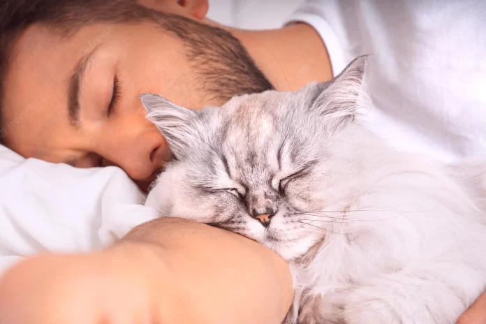 ¿Por qué los gatos duermen con los humanos?-MiamiNews24