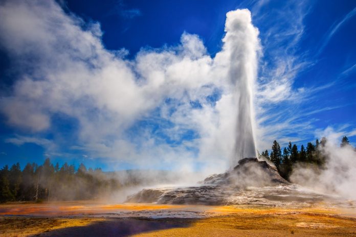 Recuperar el Parque Nacional de Yellowstone podría costar más de $1,000 millones-MiamiNews24