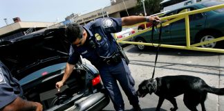 Detenidos policías y un juez por tráfico de drogas a EEUU -MiamiNews24