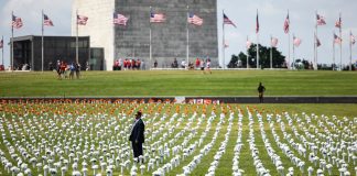 Siembran flores por las víctimas de armas de fuego en Estados Unidos