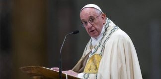 Papa Francisco casos pedofilia - miaminews24