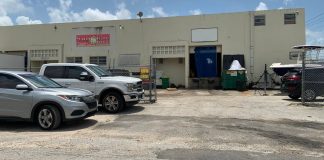 Encuentran excrementos de roedores en empresa de especias-MiamiNews24