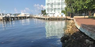 Miami-Dade multas violaciones ambientales