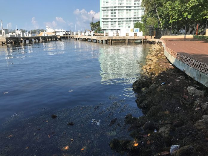 Miami-Dade multas violaciones ambientales