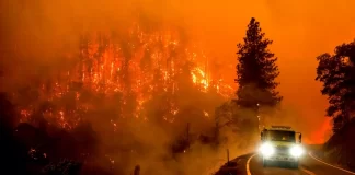 incendio forestal McKinney California