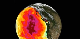 Blob Pacífico calentamiento global - miaminews24
