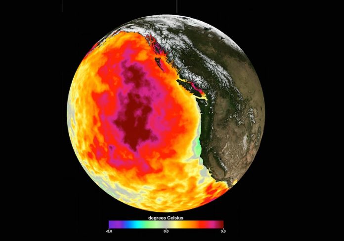 Blob Pacífico calentamiento global - miaminews24