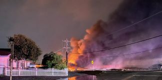 fallecidos avioneta estrellada Illinois - miami news 24