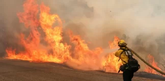 Incendio forestal Fairview California-miaminews24