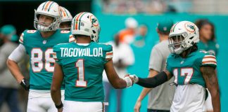 nueva era miami dolphins-miaminews24