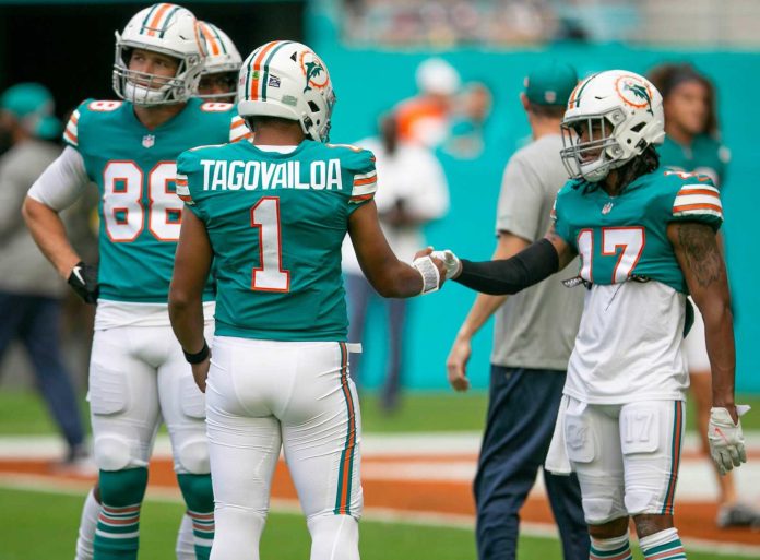 nueva era miami dolphins-miaminews24