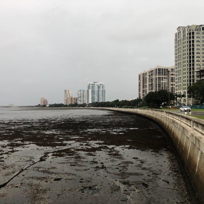 agua retrocede tampa huracán