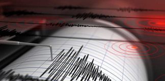 sismo magnitud sacude california - miaminews24