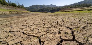 california ola calor sequía-miaminews24