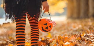 Lugares para adquirir obsequios y descuentos por Halloween - miaminews24