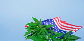 Joe Biden posesión marihuana- miaminews24