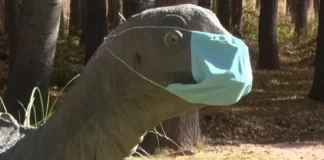 covid extinguió a dinosaurios