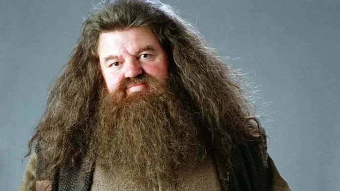 Hagrid Harry Potter- miaminews24