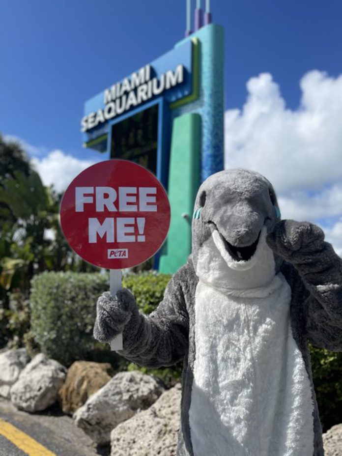 peta cierre acuario miami