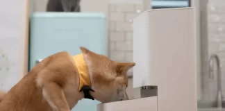 Comedor y fuente inteligente para mascotas de Xiaomi - miaminews24