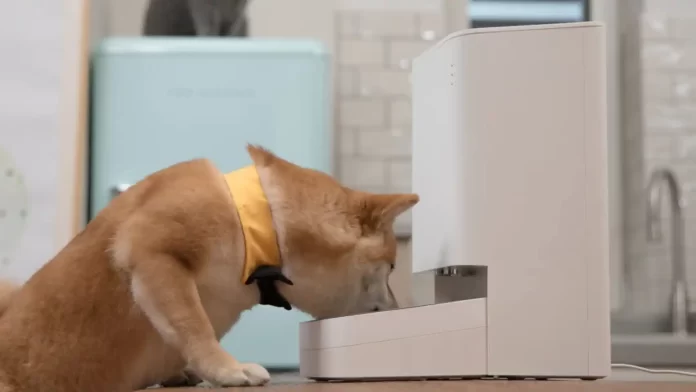 Comedor y fuente inteligente para mascotas de Xiaomi - miaminews24