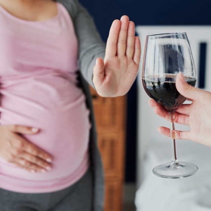 El alcohol en el embarazo puede dañar el cerebro del feto - miaminews24